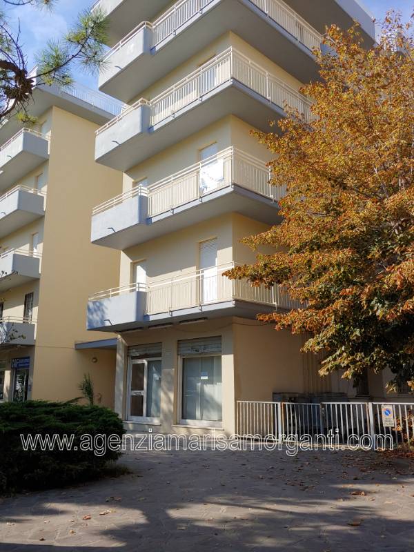 Locale commerciale Viale Virgilio, Lido Adriano, Ravenna RA  - foto 5