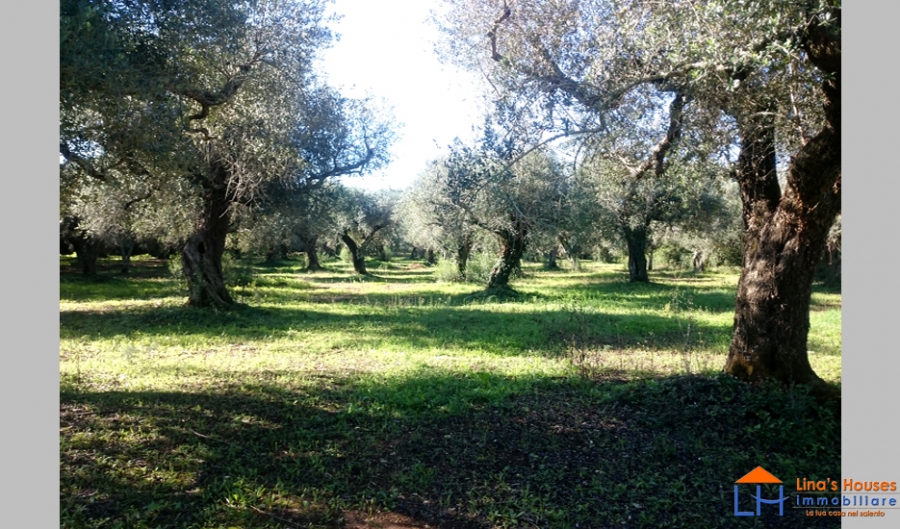 Terreno edificabile  - foto 2