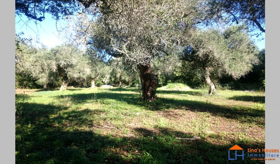 Terreno edificabile  - foto 4