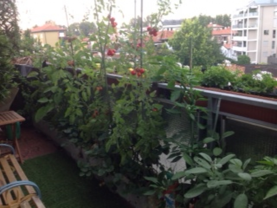 Appartamento via vespucci 