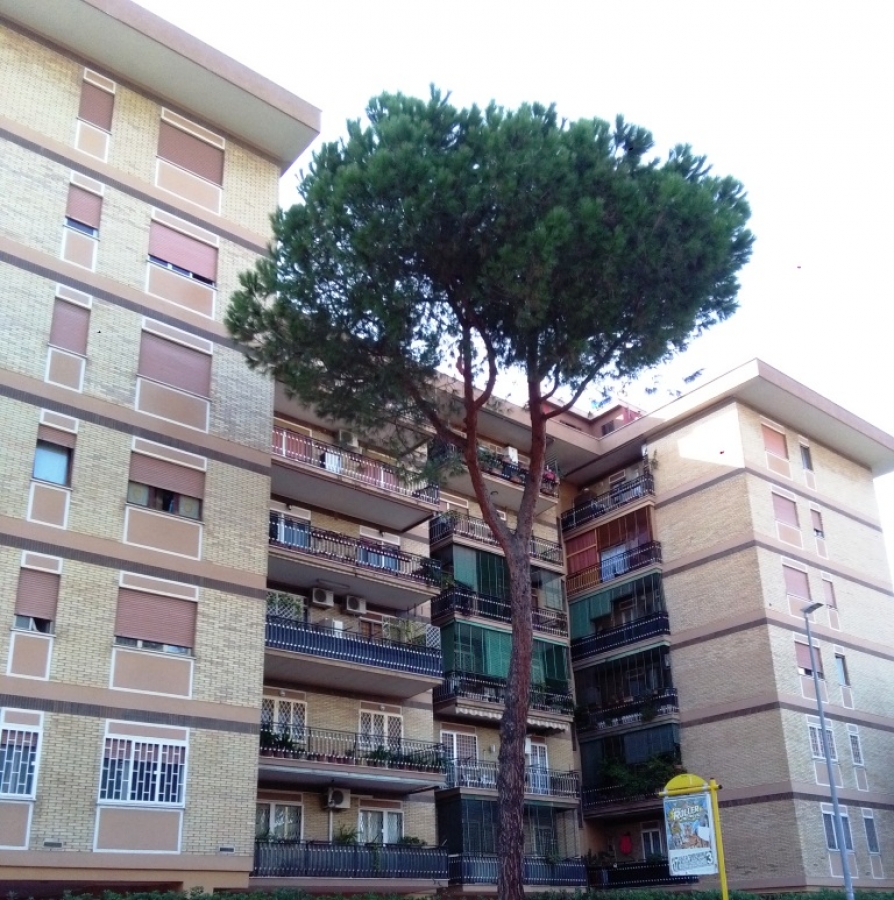Attico - Mansarda Via Pietro Belon  - foto 9