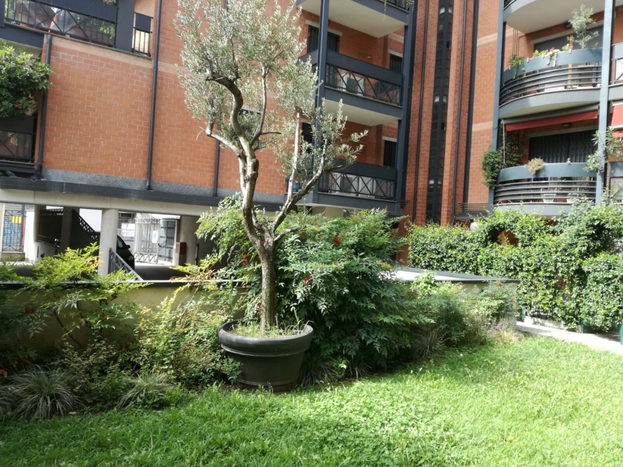 Attico - Mansarda MMPRECOTTO  - foto 11