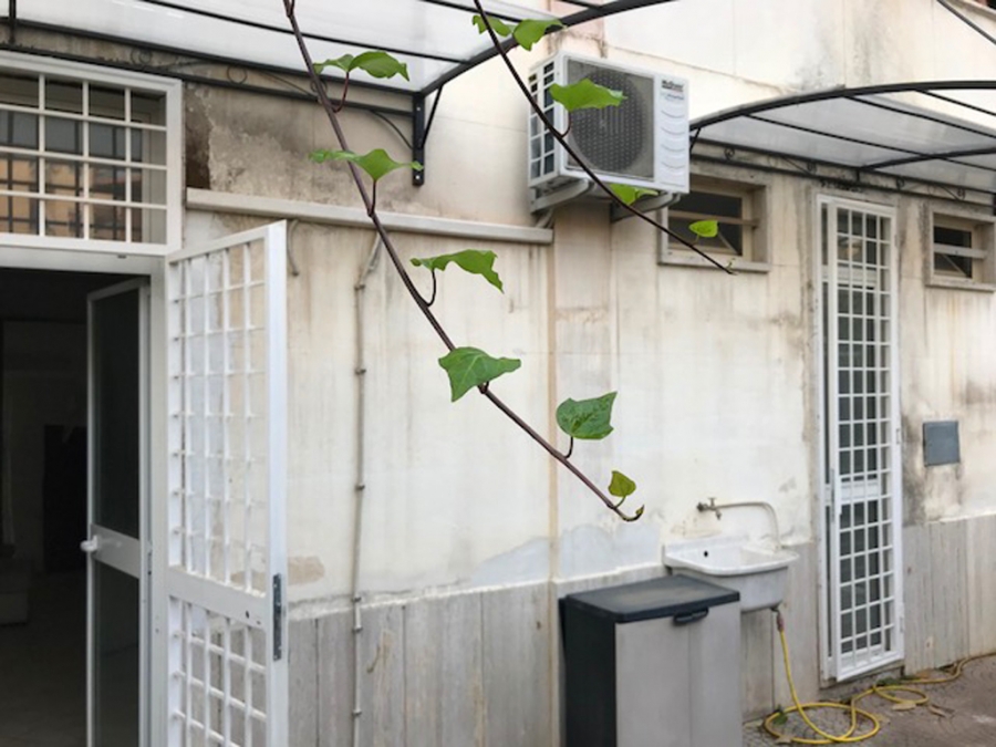 Appartamento Via Silvestro II  - foto 5