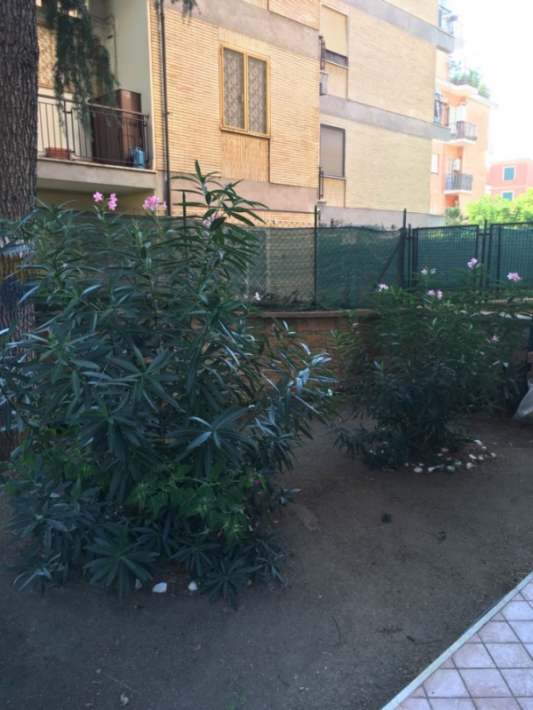 Appartamento via di villa maggiorani  - foto 7