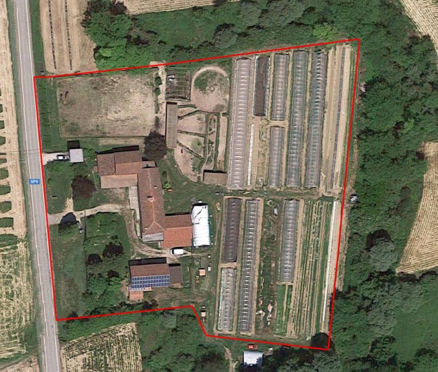 Azienda agricola  - foto 10
