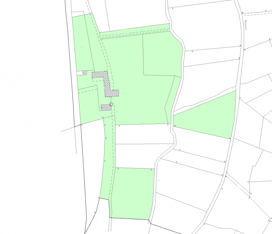 Azienda agricola  - foto 13