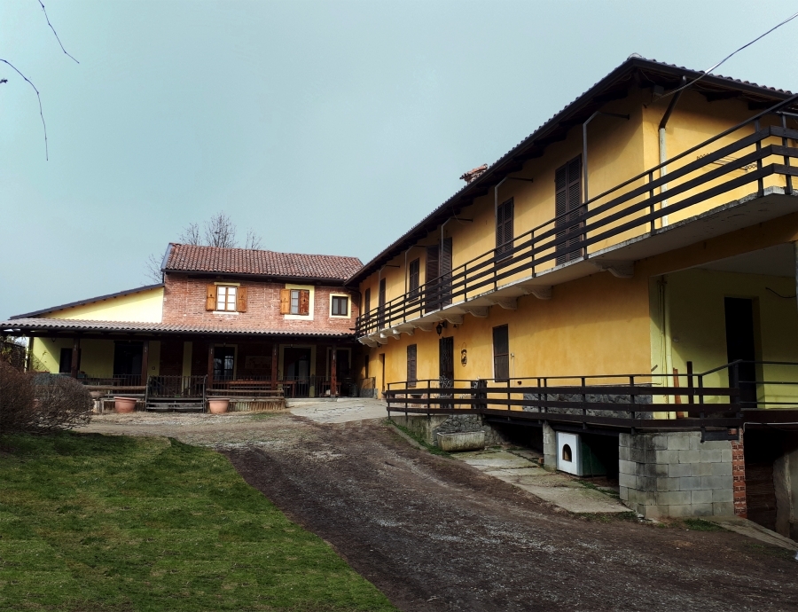 Azienda agricola  - foto 2