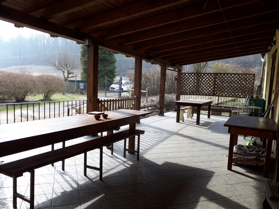 Azienda agricola  - foto 3