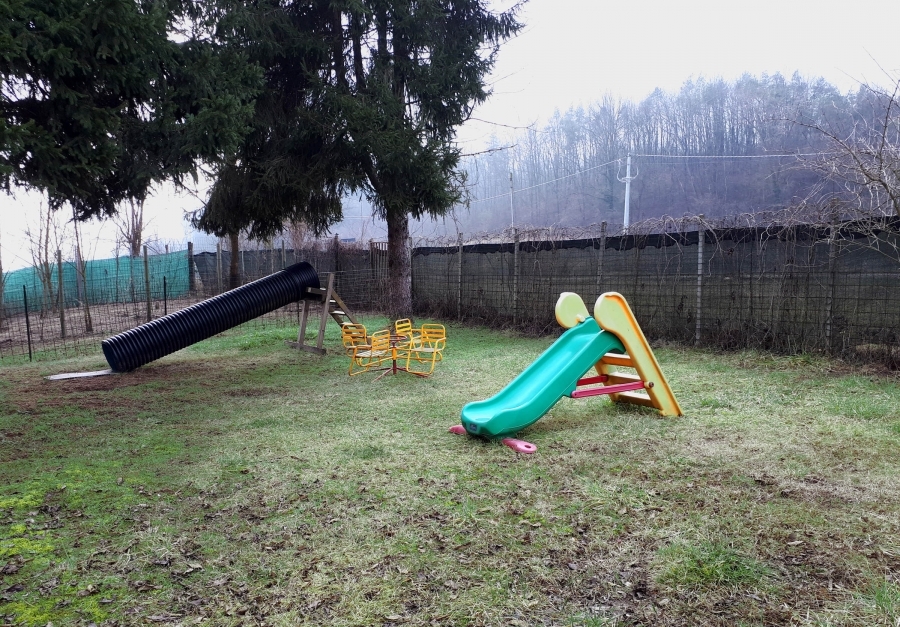 Azienda agricola  - foto 5