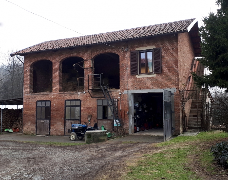 Azienda agricola  - foto 6