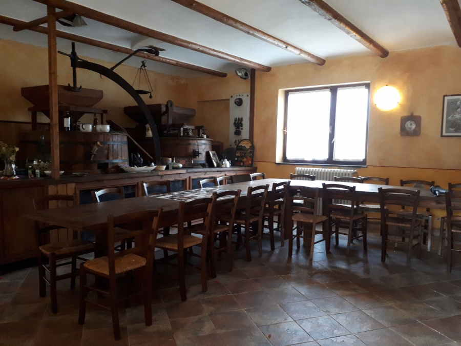 Azienda agricola  - foto 7
