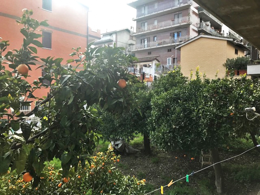Appartamento via Mombaruzzo  - foto 12