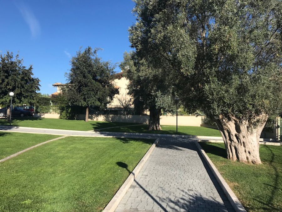 Appartamento Via dei Casalotti  - foto 2