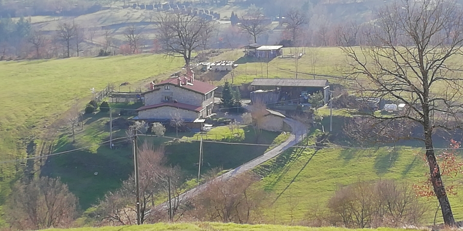 Casale borgo alla collina via case sparse, 36, Castel San Niccolò