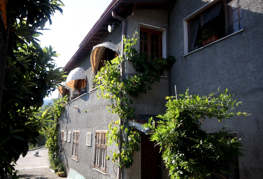 Ristorante - Pizzeria  - foto 5