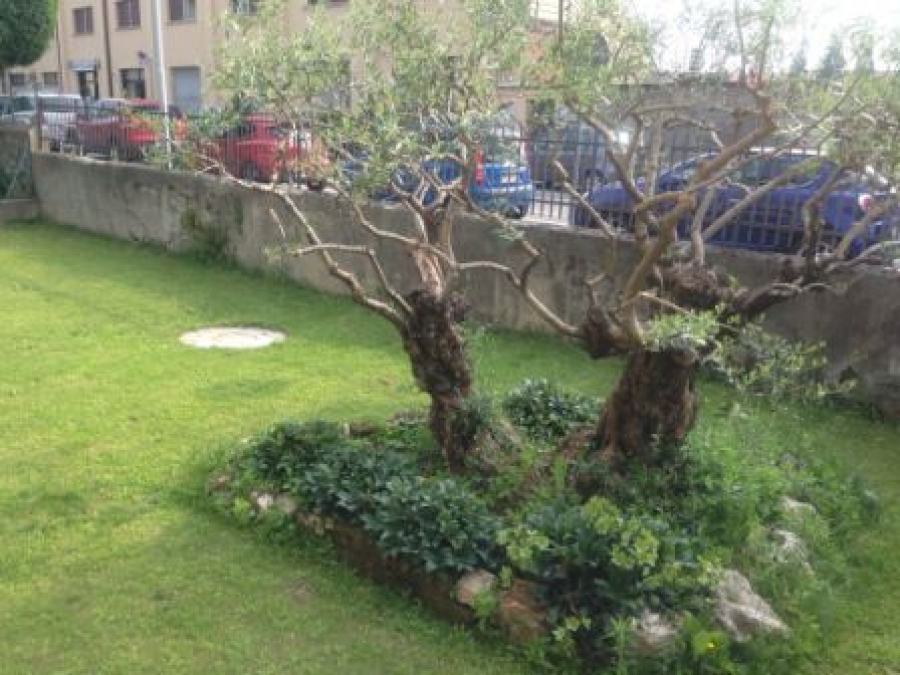 Appartamento  - foto 11