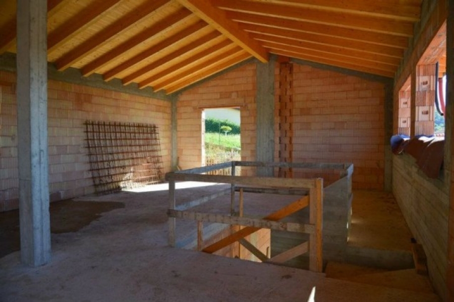 Villa via Detesalvo Lupi  - foto 2