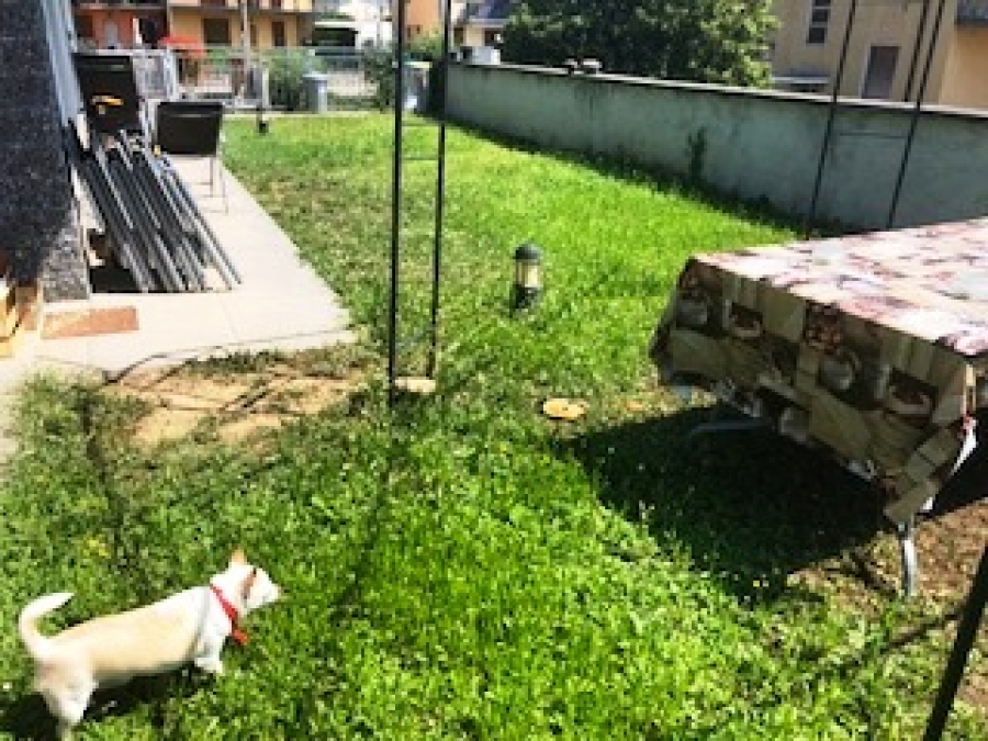 Appartamento via Milano  - foto 35
