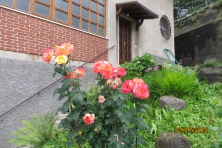 Villa via Roncaglia Fuori  - foto 10
