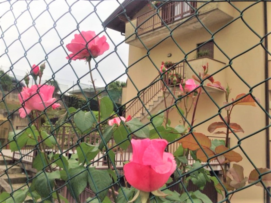 Appartamento via Tasca  - foto 2
