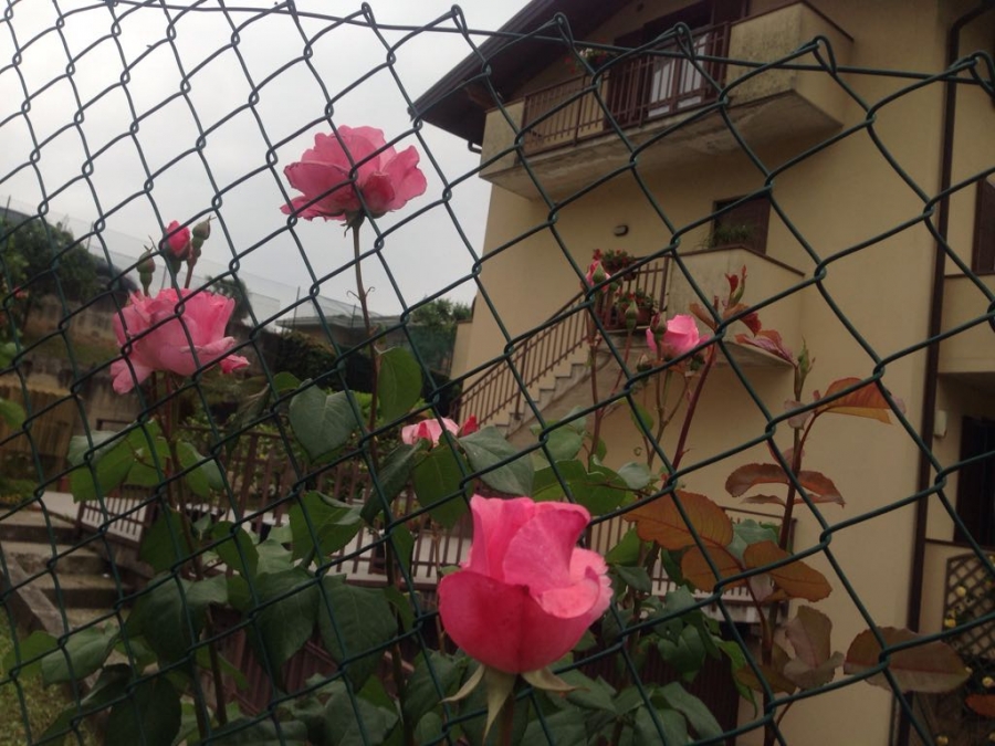 Appartamento via Tasca  - foto 8