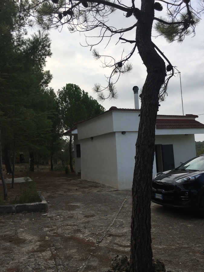 Villa s.p. terlizzi-mariotto  - foto 4