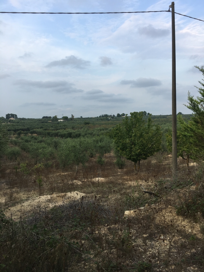 Villa s.p. terlizzi-mariotto  - foto 7