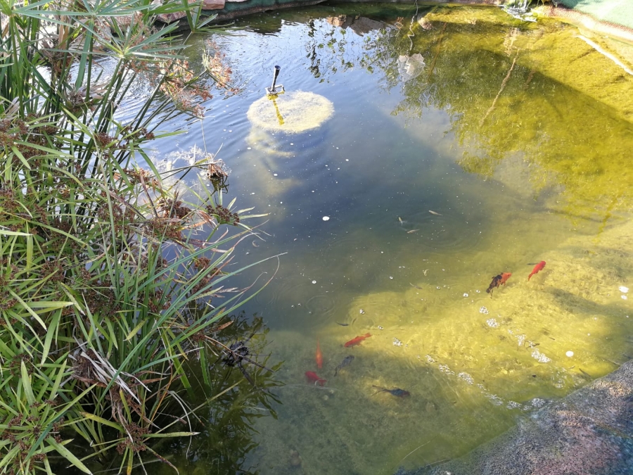 Villa contrada balestrieri  - foto 11