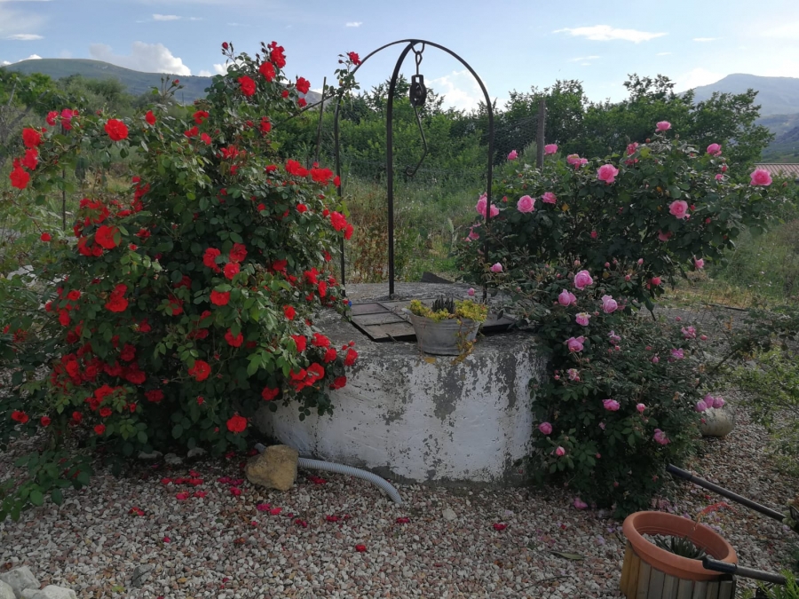 Villa contrada balestrieri  - foto 14