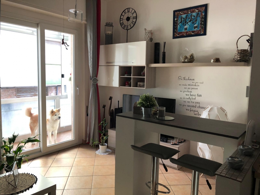 Appartamento  - foto 4
