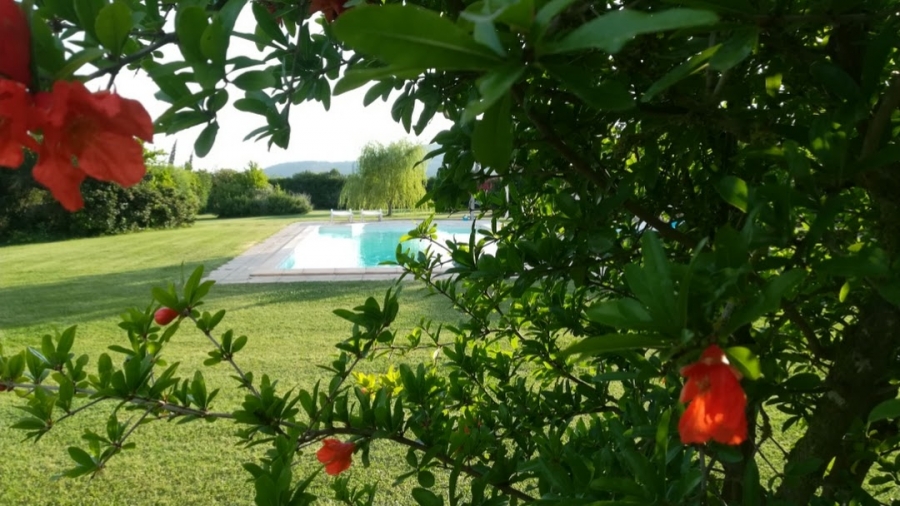 Casale strada del 616,3  - foto 2