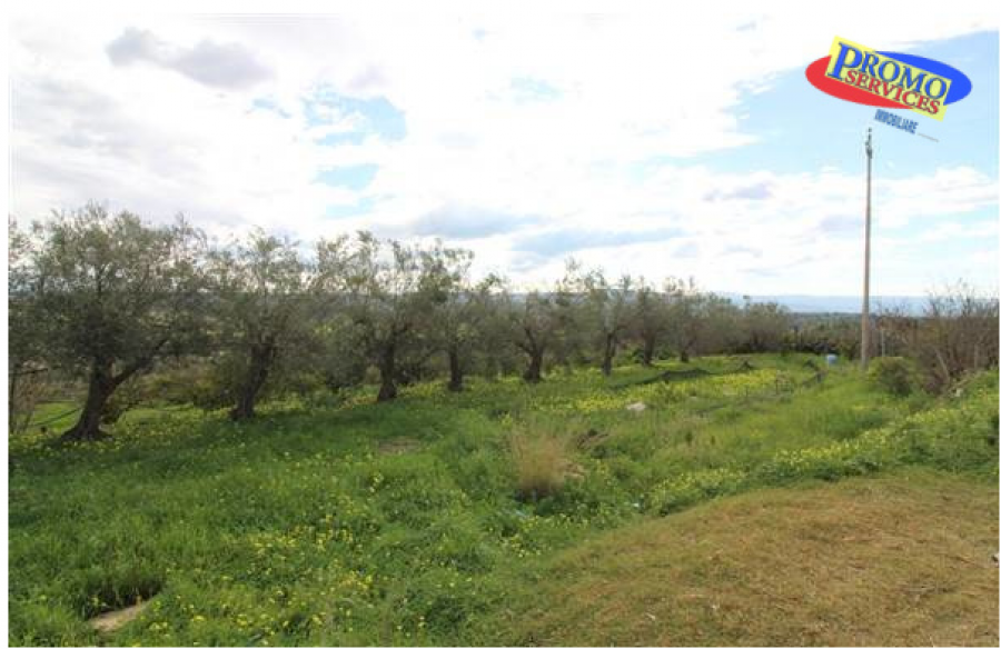 Villa CONTRADA SABBUCI  - foto 18