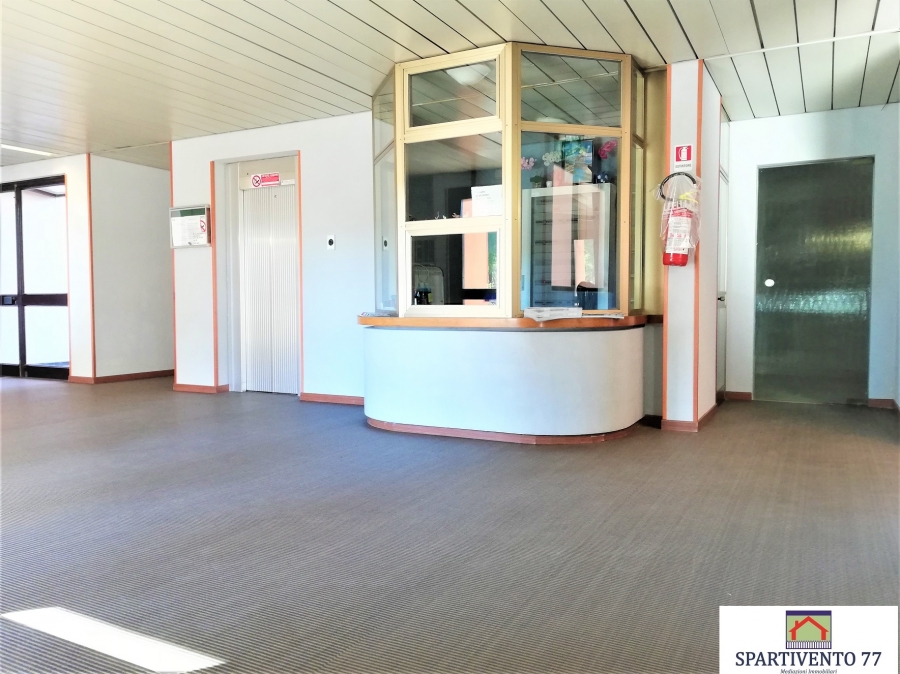 Appartamento viale prassilla  - foto 4
