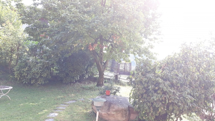 Casa indipendente via roncaccio  - foto 3