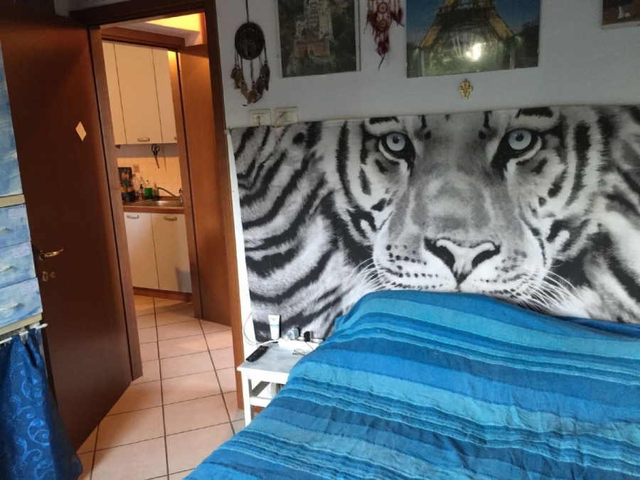 Appartamento  - foto 4