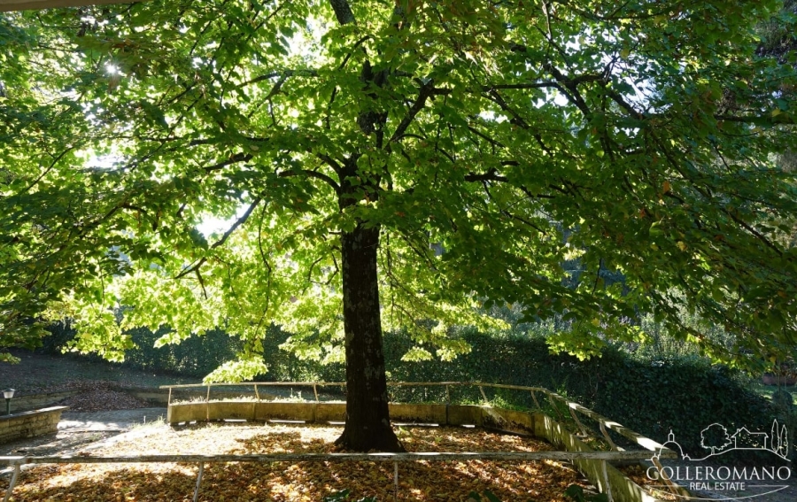 Villa Loc. Colleromano 