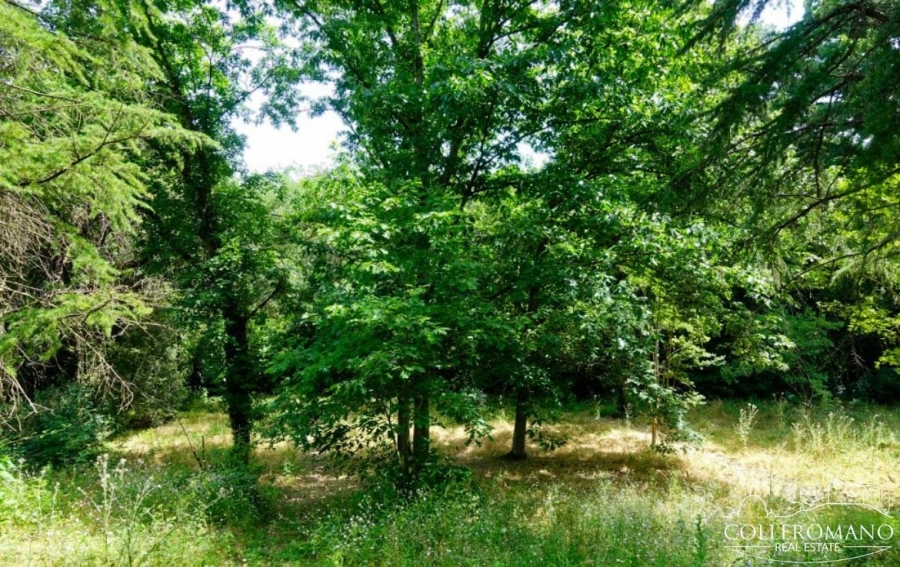 Villa Loc. Colleromano  - foto 4