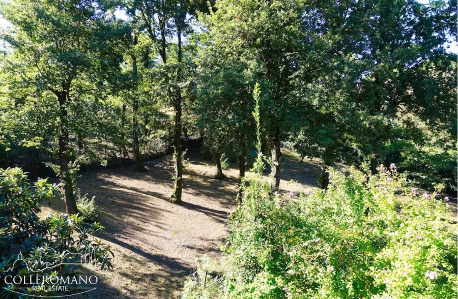 Villa Loc. Colleromano  - foto 10