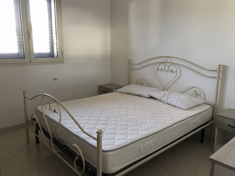 Appartamento Via savonarola  - foto 3