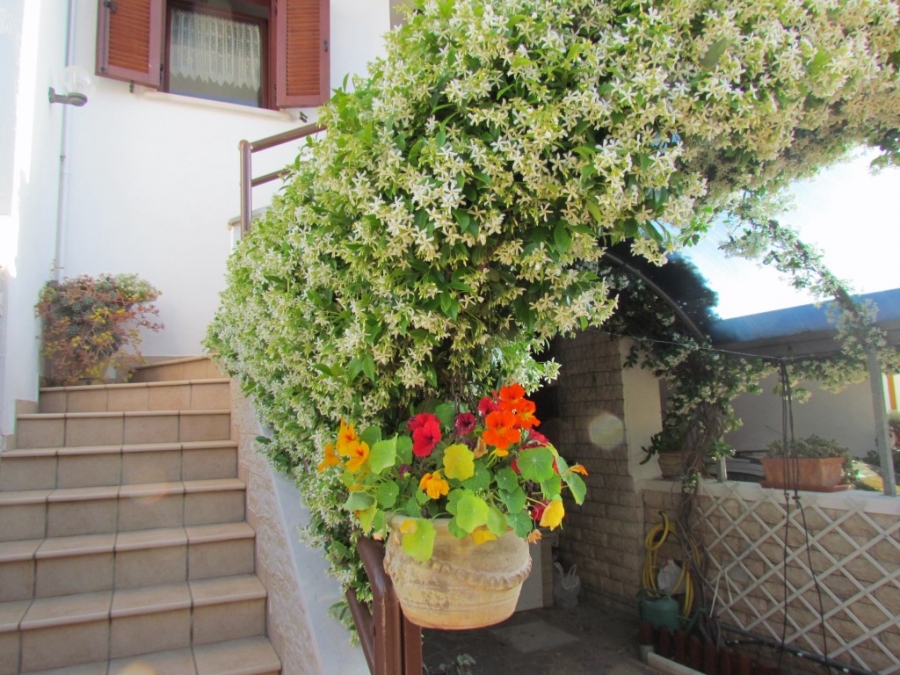 Villetta a schiera VIA 8 MARZO  - foto 13