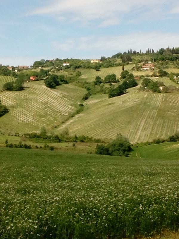 Casale Via della Resistenza  - foto 2