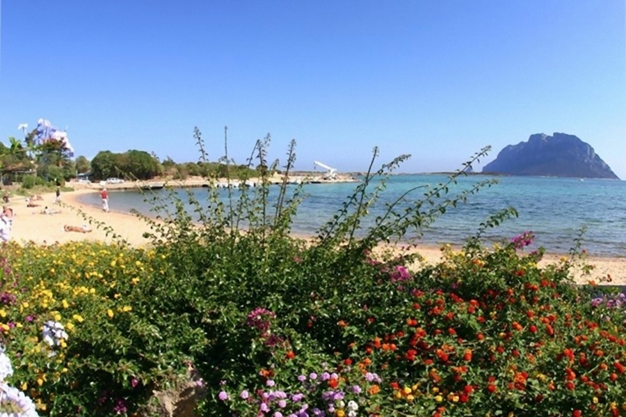 Appartamento BAIA de BAHAS - Apartments & Resort 