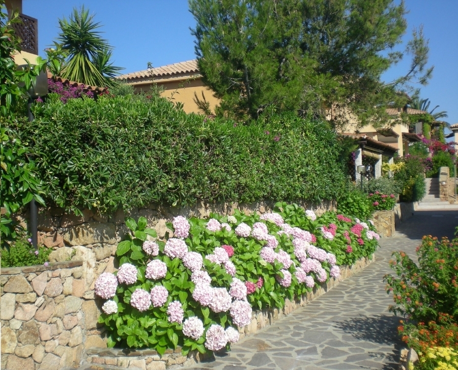 Appartamento BAIA de BAHAS - Apartments & Resort  - foto 3