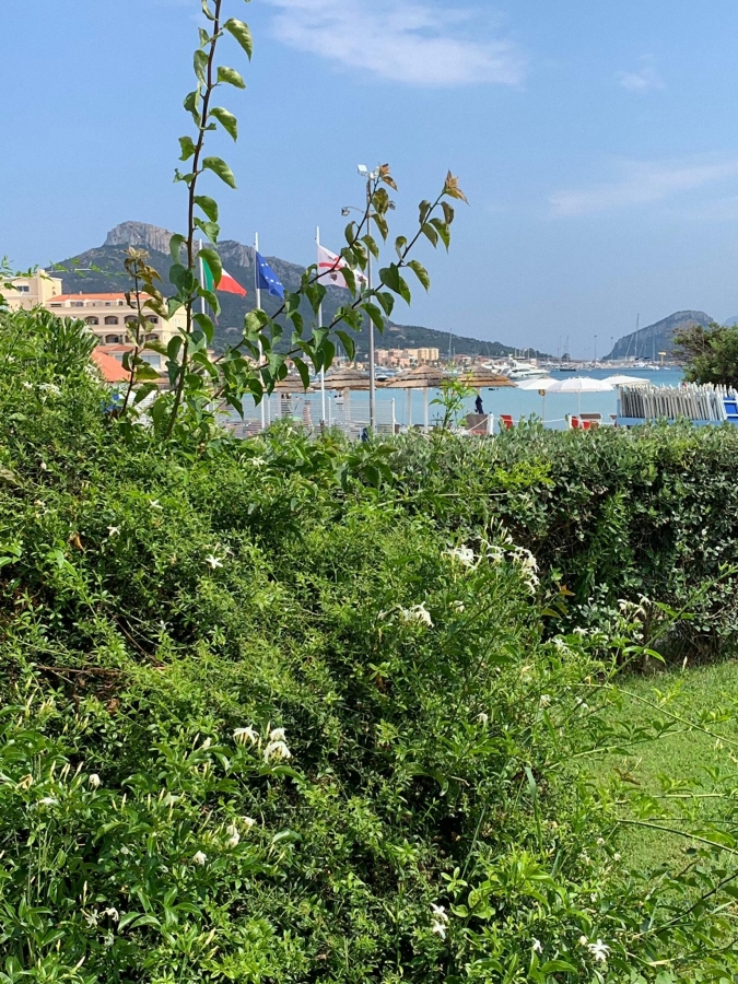 Appartamento TERZA SPIAGGIA & LA FILASCA  - foto 6