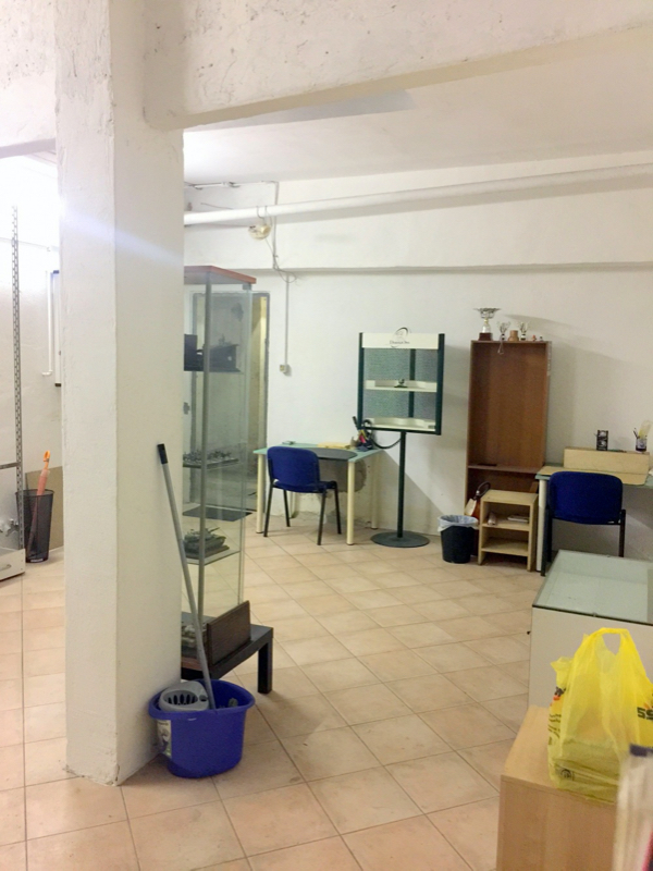 Magazzino - Deposito CARABELLI 1  - foto 18