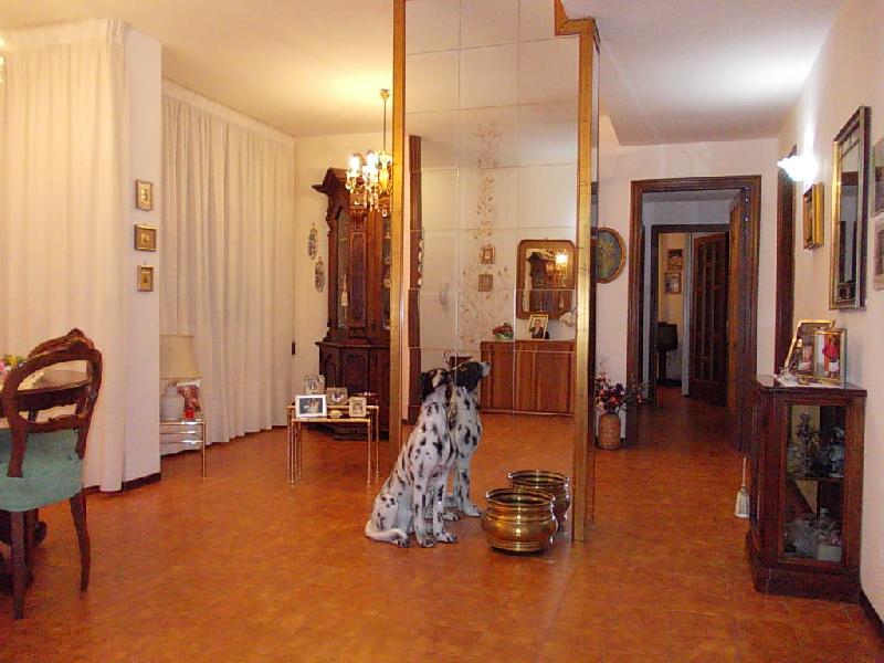 Appartamento via forleo  - foto 6
