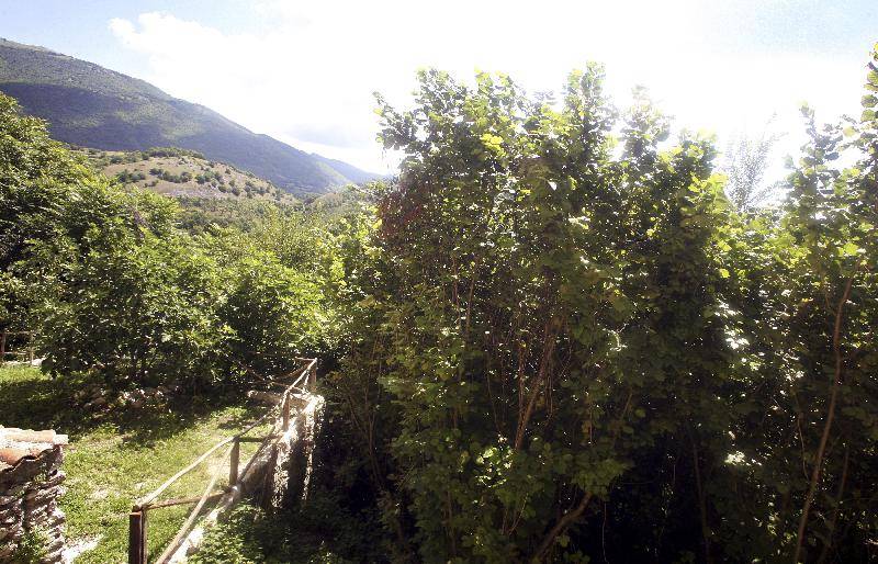 Appartamento Via della Fonte, 3  - foto 6