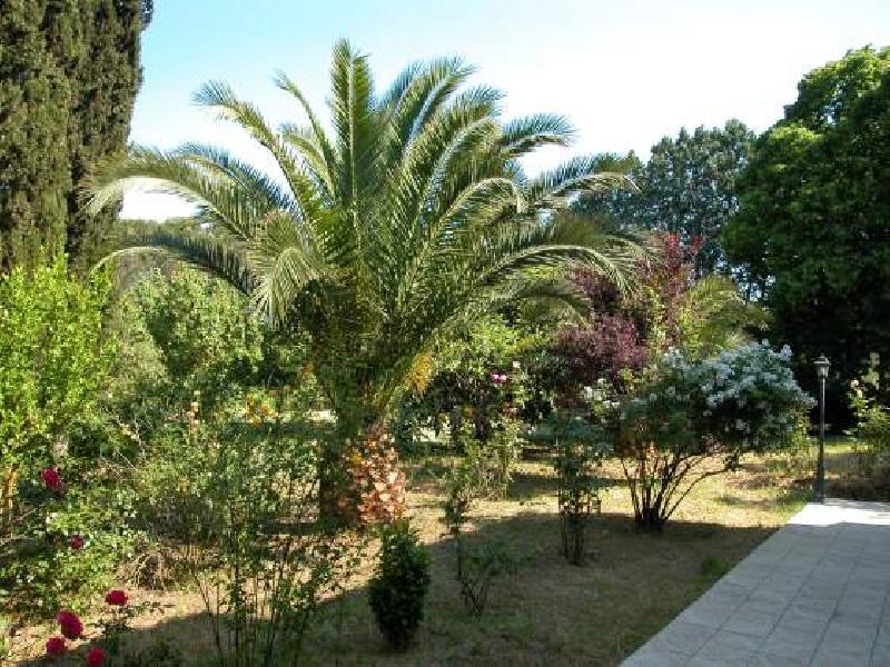 Villa via vincenzo cuoco  - foto 3