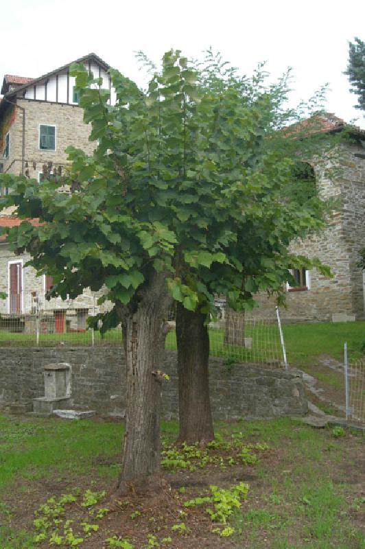 Casa singola  - foto 6