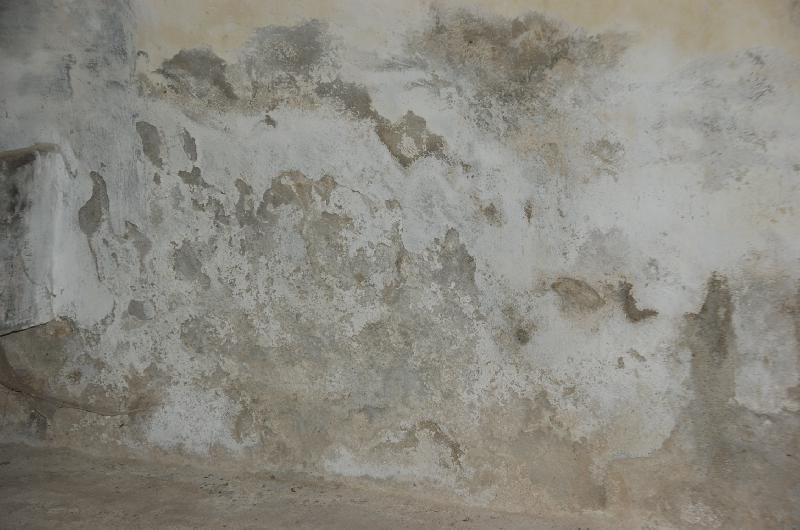 Rustico  - foto 7